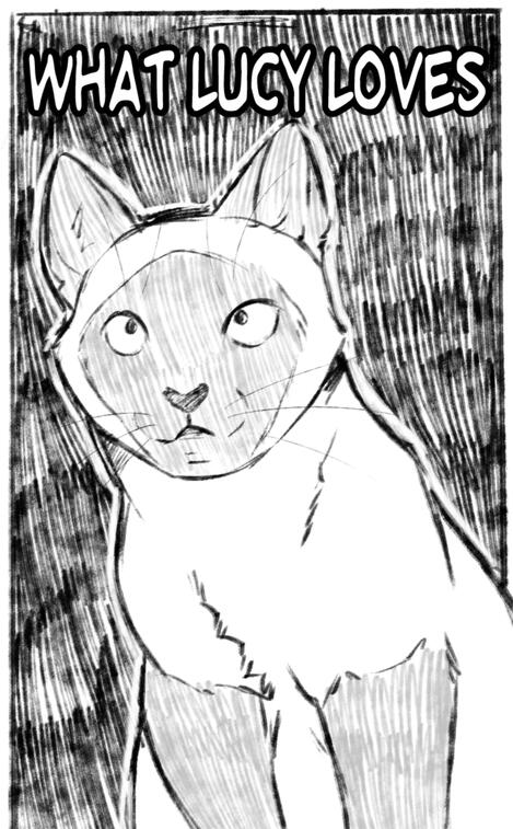 What Lucy Loves Zine